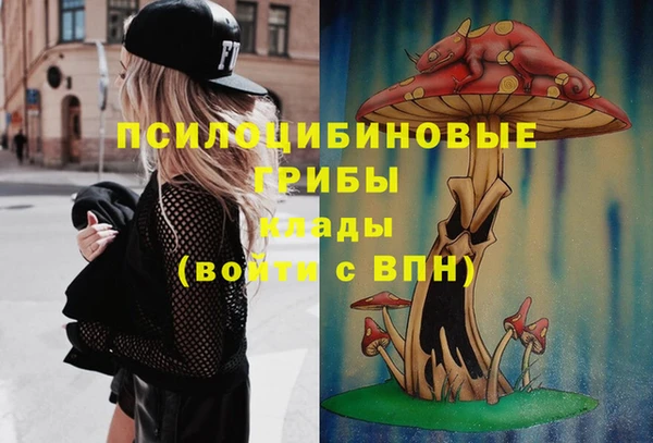 не бодяженный Инсар